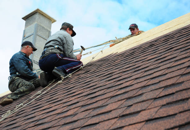Best Residential Roofing Contractor  in Terre Du Lac, MO